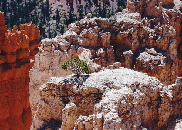 1997-06-Grand-Canyon-LMG-164